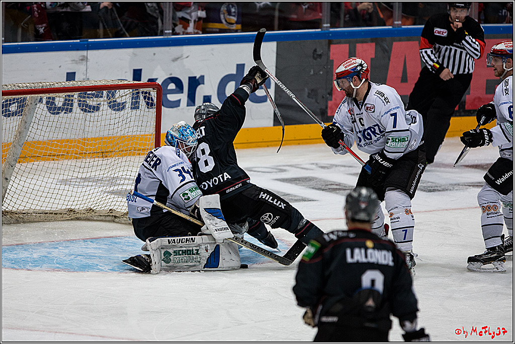 Koelner Haie - Schwenninger Wild Wings, 11.12.2016